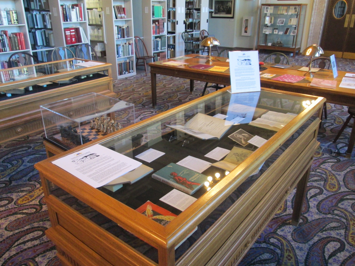 Exhibit Display Case